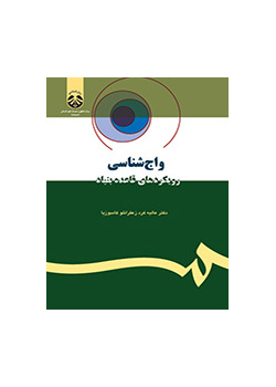 واج‌شناسی: رویکردهای قاعده بنیاد