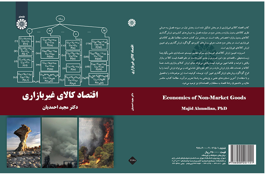 اقتصاد کالای غیربازاری