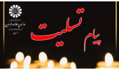 پیام تسلیت دکتر حمید شهریاری در پی درگذشت استاد محمدحسین حشمت‌پور